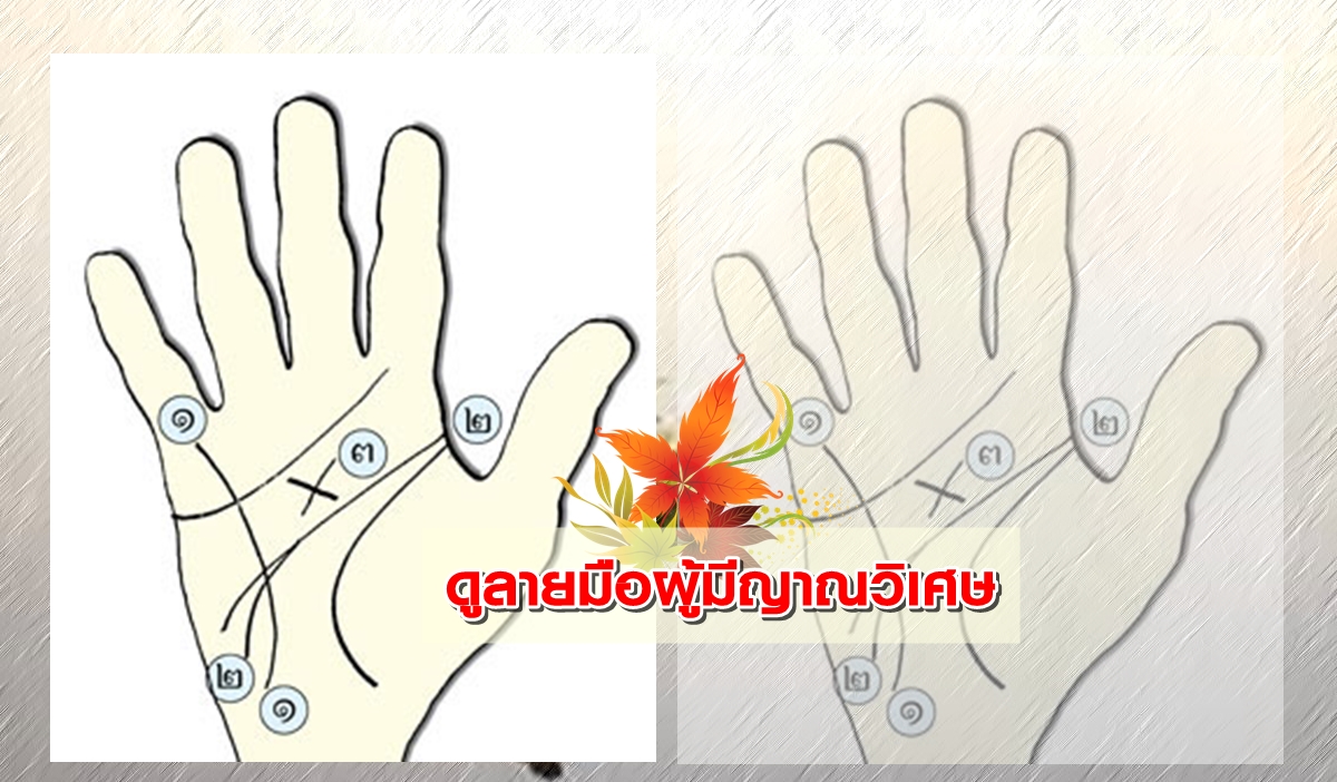 ลายมือ-พลังจิต.jpg