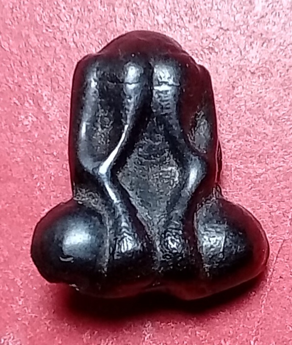 20260428_141509.jpg