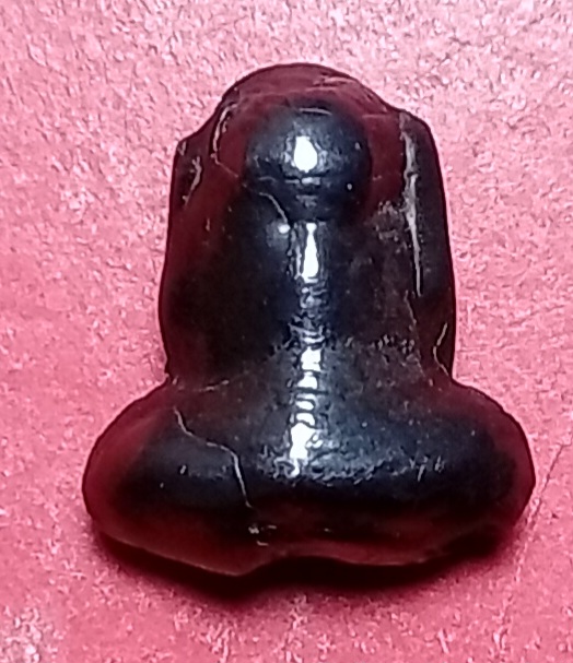 20260428_141521.jpg