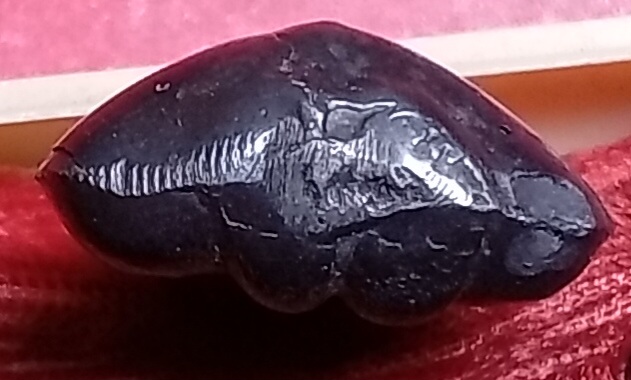 20260428_141651.jpg