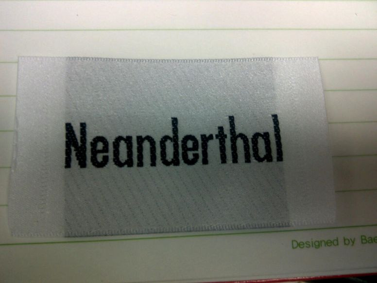 label4gim.jpg